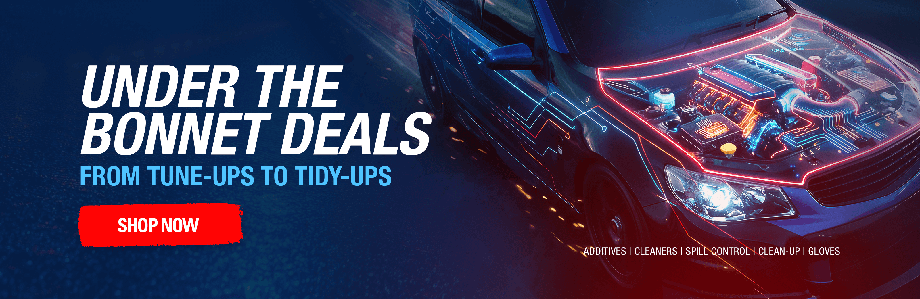 Car Engine Maintenance